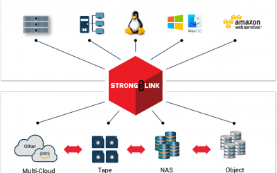 StrongLink: Autonomous Data Management